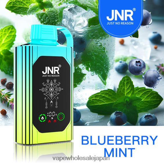 J26420618 電子タバコ 加熱式タバコ - ブルーベリーミント JNR SHISHA BOX