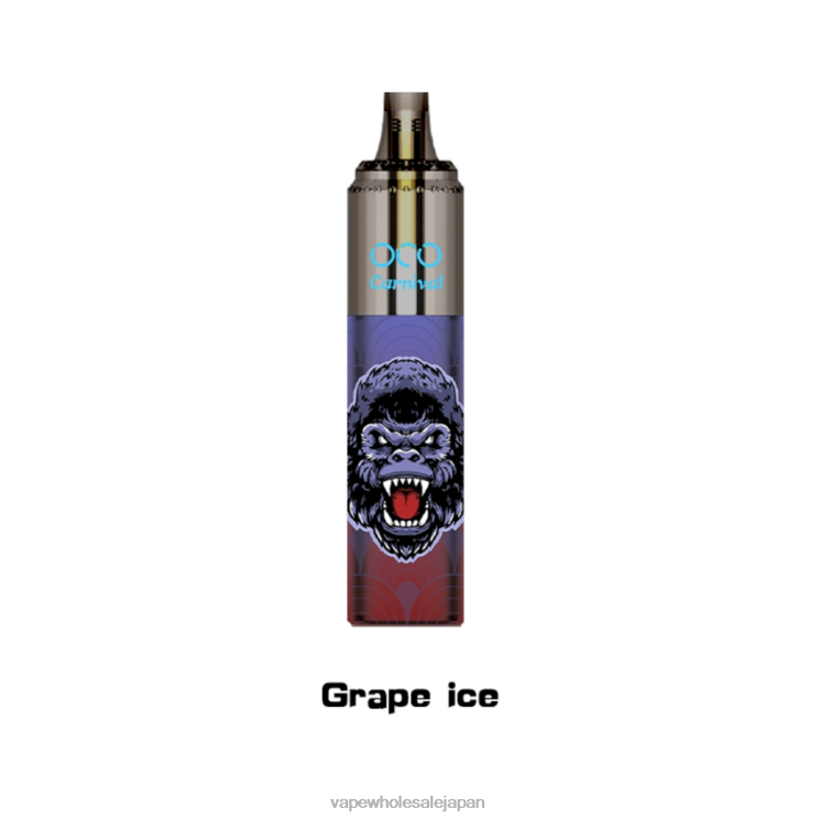 Vape 卸売 L0644350 LAVIE OCO カーニバル10000パフ ぶどう氷