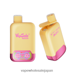 電子タバコ アイコス 4TL00L129 Vapsolo TWINS 使い捨て電子タバコ スイカアイス＆ストロベリーマンゴー