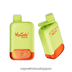 電子タバコ グロー 4TL00L128 Vapsolo TWINS 使い捨て電子タバコ スイカアイス＆ミックスベリー