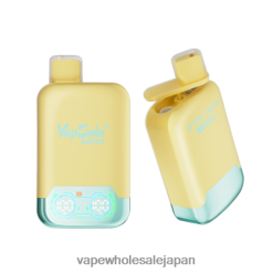 電子タバコ ニコチン 4TL00L125 Vapsolo TWINS 使い捨て電子タバコ パイナップルココナッツ＆ストロベリーバナナ
