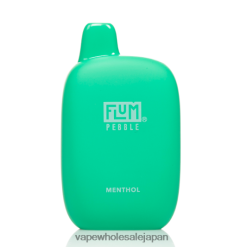 電子タバコ ニコチン TP8BN835 FLUM PEBBLES 6000パフ メントール