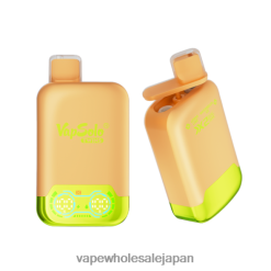 電子タバコ ニコチンなし 4TL00L123 Vapsolo TWINS 使い捨て電子タバコ レモンライム＆スイカアイス