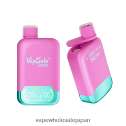電子タバコ 捨て方 4TL00L127 Vapsolo TWINS 使い捨て電子タバコ ストロベリー・ラズベリー・チェリーアイス＆グレープアイス