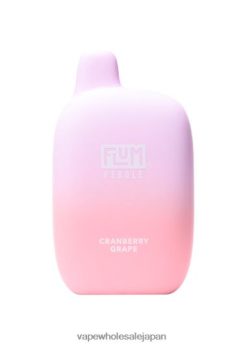 電子タバコ 捨て方 TP8BN827 FLUM PEBBLES 6000パフ クランベリーグレープ