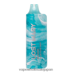 J26420531 電子タバコ アイコス - プラムローズミント LOST MARY MO5000