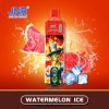 J26420581 電子タバコ ニコチン - スイカ氷 JNR ALIEN MAX
