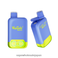 Vape 卸売 4TL00L120 Vapsolo TWINS 使い捨て電子タバコ ブルーラズレモネード＆レモンライム